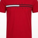 Polo Tommy Hilfiger