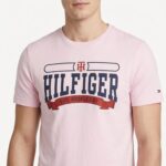Polo Tommy Hilfiger Caballero