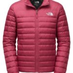 Casaca Pluma The North Face Caballero