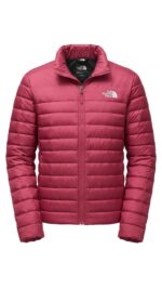 Casaca Pluma The North Face Caballero
