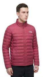 Casaca Pluma The North Face Caballero - Image 3
