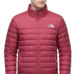 Casaca Pluma The North Face Caballero