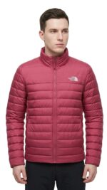 Casaca Pluma The North Face Caballero - Image 2