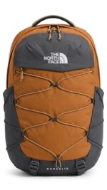 Mochila The North Face Borealis Marron Gris